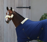 Tapis d'écurie pour chevaux en velours polycoton léger de haute qualité, doublure en polyester, tailles personnalisables, assortiment varié