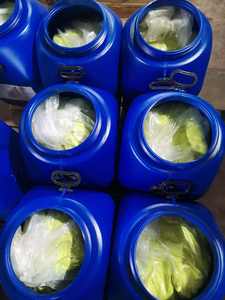 <span class=keywords><strong>Cloruro</strong></span> <span class=keywords><strong>ferroso</strong></span> original de fábrica tetrahidrohidrato FeCl2.4H2O de alta pureza 98% 95% CAS 13478-10-9 material químico - Product Image 3