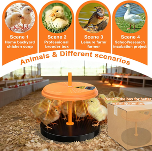 Placa Calefactora para Aves de Corral de 35W, con Temperatura Regulable y Altura Ajustable, Fuente de Calor para Pollitos, Equipo de Calentamiento para Gallineros - Product Image 6