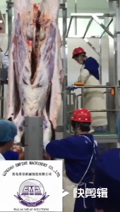 Best Selling Advanced Islamic <strong>Sheep</strong> / Cattle Slaughtering <strong>Machine</strong> Cow Slaughterhouse Mobile Abattoir Equipment With Cheap Price - Product Image 5