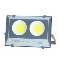 Projecteur LED COB extérieur pour stades sportifs et terrains de tennis, IP66, 50W 100W 200W 300W 400W 500W 600W 800W 1000W