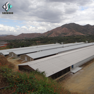 Chi Phí Thấp Tùy Chỉnh Thép Thương Mại Cấu Trúc Gà Thịt Nhà Gia Cầm Trang Trại Gà Xây Dựng - Product Image 6