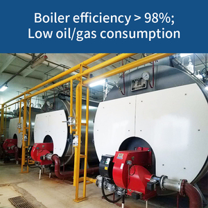 Chaudière à vapeur industrielle au gaz, 1000 kg/h 2000 kg/h Caldera De vapor - Product Image 5