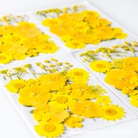 ZS024 petit cadre de coque de téléphone avec fleur sèche fleurs séchées pressées pour décor d'art d'ongle pour Noël ou l'obtention du diplôme