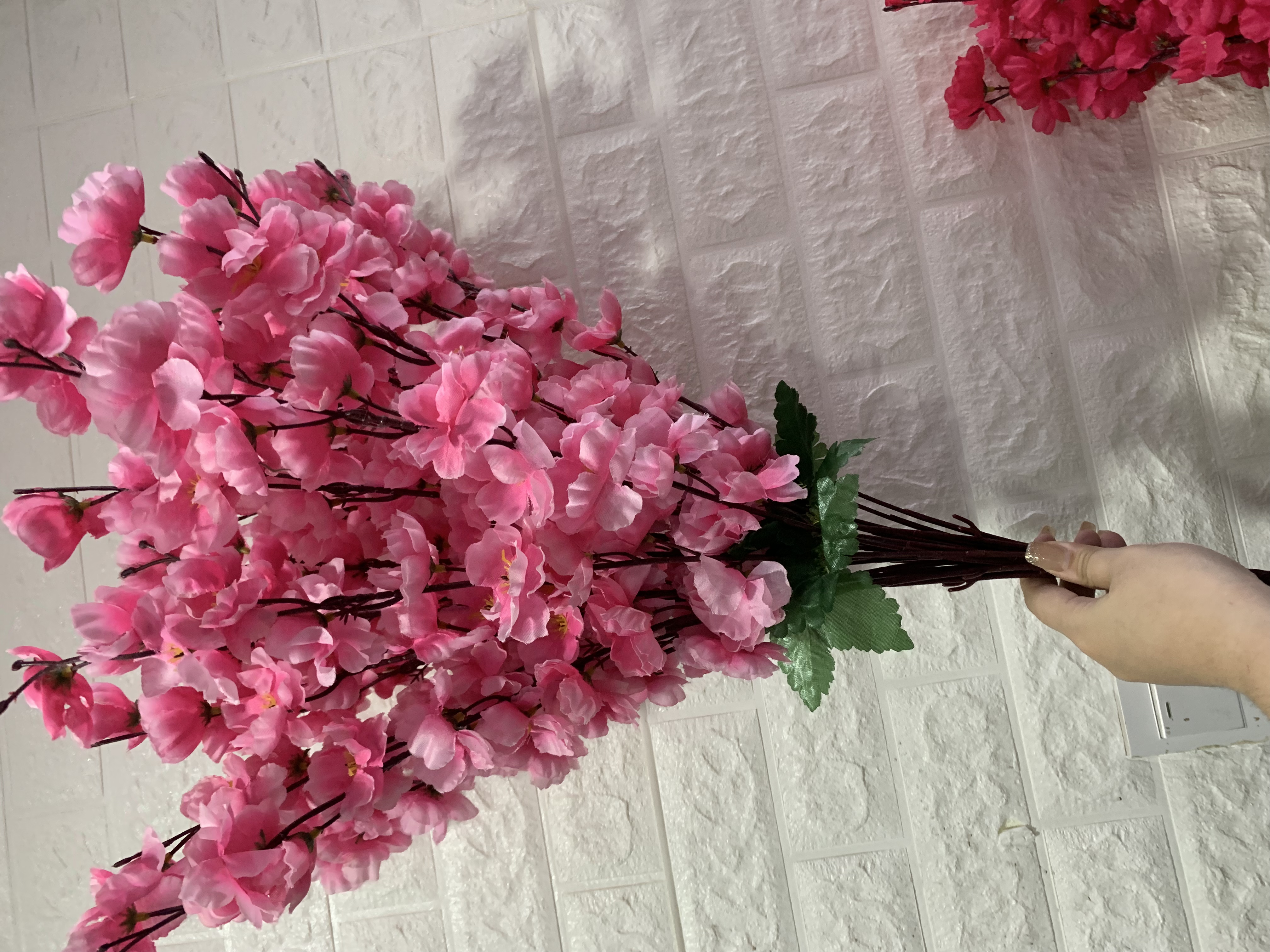 24 forchette rosa