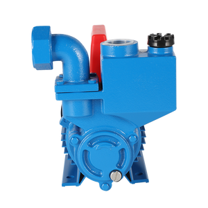 <span class=keywords><strong>Pompe</strong></span> à eau submersible électrique monophasée DBZ en acier inoxydable, industrielle, auto-amorçante, à surpression, vente en gros à prix réduit - Product Image 5