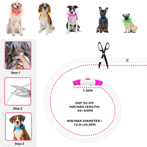 Özel TPU Malzemeli Su Geçirmez USB Şarjlı Düz Desenli LED Işıklı Gece Güvenliği İçin Köpek Tasması - Product Image 4