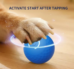 Yeni elektrikli akıllı zıplayan top köpekler için eğlenceli hediye oyuncaklar dayanıklı interaktif otomatik haddeleme Pet eğitim oyuncak kedi Teaser oyuncak - Product Image 4