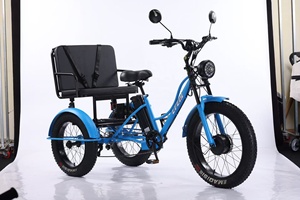 Tricycle à 3 roues avec siège large et moteur avant, tricycle pliable pour le transport de marchandises avec siège passager - Product Image 5