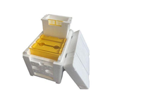 EPP EPS Poly British National Langth Beehive Bee Box Nuc Full Hive Caja de colmena de poliestireno expandido