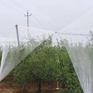 Filet <span class=keywords><strong>de</strong></span> protection anti-grêle pour la récolte des olives, dernière conception, bonne vente, agriculture - Product Image 6
