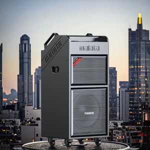 Malata Thương Hiệu 12-Inch Xe Đẩy Cho 240W Xách Tay Cho Loa <span class=keywords><strong>Bluetooth</strong></span> Ứng Dụng Điều Khiển Cho Điện Thoại Di Động - Product Image 5