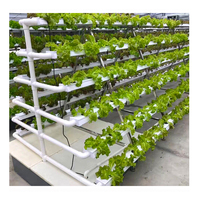 Système de serres hydroponiques Sinok Agriculture pour la culture commerciale de la laitue, des tomates et des légumes à feuilles vertes dans les projets d'agriculture commerciale