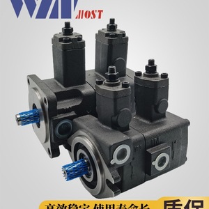 ปั๊มวาล์วแปรผัน Winmost รุ่น VP DF 12A B12C D ปั๊มน้ำมันไฮดรอลิกสำหรับใช้งานในอุตสาหกรรม - Product Image 2