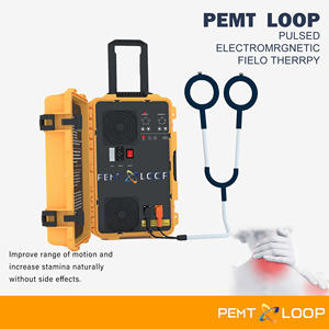 Equipamento de fisioterapia portátil Pemf Magneto Terapia Dispositivo para Body Pain Relief Cavalo Pemf Loop Terapia Magnética Dispositivo - Product Image 2