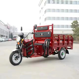 Agricultural Carrying Electric Tricycle Cargo Truck Open Body Aluminium High Load Capacity - Product Image 5
