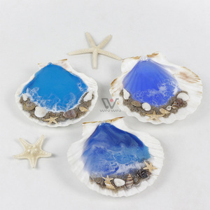 <span class=keywords><strong>Petit</strong></span> coquillage mélange minuscule coquille de mer Lot plage mariage décor coquillages pour artisanat résine époxy océan mer vague conception - Product Image 3