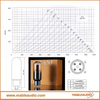 Tube d'amplificateur audio professionnel Psvane Acme 211/211, amplificateur audio vintage Hifi DIY