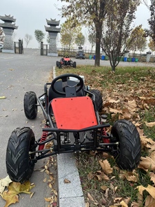 Kart à pédales ultra professionnel 212cc <span class=keywords><strong>4</strong></span> temps tout-terrain 60 km/h charge de 250 kg zones herbeuses et sablonneuses 8 pouces course et drift - Product Image 3