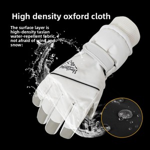 2026 Nieuwe fleece gevoerde skihandschoenen touchscreen voor dames heren warme fiets- motor- winteruitrusting voor buiten snowboarden - Product Image 4