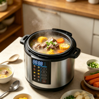Cuisinière électrique à pression haute efficacité, cuisson en une seule potence pour soupes, riz, ragoûts de viande, usage domestique
