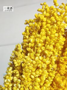 Bella Naturale Secca Sorgo Bouquet Conserve di Sorgo Fiore pianta - Product Image 6