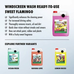 Limpiador de Vidrios Sweet Flamingo de la Mejor Calidad, Listo para Usar, 5L, Paquete Económico al por Mayor con Aroma Refrescante - Product Image 2