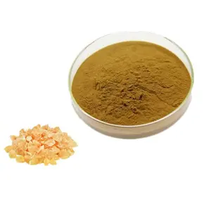 High Quality Boswelia Serrata Extract 65% Boswellic Acids Powder Boswellin Extract Powder