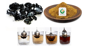 Natural 100% puro <span class=keywords><strong>Shilajit</strong></span> extracto en polvo 50% ácido fúlvico <span class=keywords><strong>Shilajit</strong></span> extracto - Product Image 2