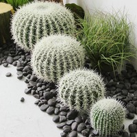 Cactus artificiel pour décoration intérieure, plantes artificielles, aménagement paysager, succulentes du désert, fausse verdure