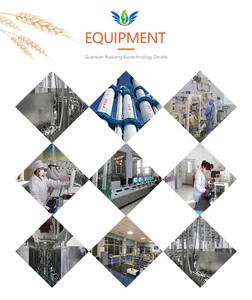 Materia Prima <span class=keywords><strong>de</strong></span> Trigo <span class=keywords><strong>de</strong></span> Primera Calidad, Control Estricto del Proceso <span class=keywords><strong>de</strong></span> Producción, VITAL WNEAT GLUTEN - Product Image 6