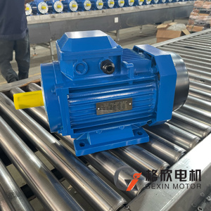 15 KW 6 cực 960 vòng/phút <span class=keywords><strong>rpm</strong></span> <span class=keywords><strong>rpm</strong></span> thấp Máy phát điện alternator ba-giai đoạn cảm ứng điện 3 động cơ - Product Image 2