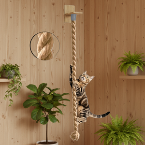 Casa para Gatos de Madera de Pino para Montar en la Pared, Estilo Nórdico, con Poste Rascador Integrado, Bonita y que Ahorra Espacio - Product Image 1
