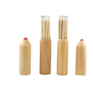 Eco friendly Bamboo material color pencils set with bamboo pencil tube