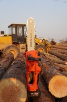 Machine à couper le bois de 12 pouces, scie à chaîne électrique sans fil de 1000 W, motosierras en gros