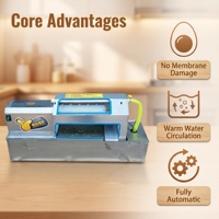 Mini machine à peler les œufs durs, en matériau de qualité alimentaire, machine à décortiquer les œufs automatique pour usage domestique et en restaurant