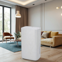 Déshumidificateur d'air sec mobile 12L/jour 45dB à compresseur intelligent HEPA R290 en plastique électronique pour usage domestique, application Tuya, 20 m², garantie 1 an