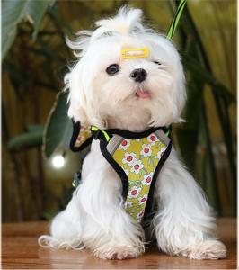 Fábrica al por mayor reflectante pequeño perro Correa y arnés Flor Mariposa estampado diseñador perro arnés chaleco - Product Image 3