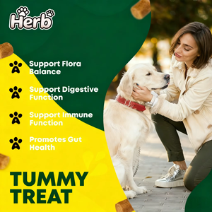 Probiotiques pour chiens OEM ODM Private Label avec prébiotiques favorisant un microbiome intestinal équilibré - Renforce la santé immunitaire - Friandises à mâcher molles - Product Image 2