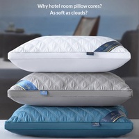 Ensembles de coussins de luxe et sains en gros – Oreillers confortables pour hôtels et maisons d'hôtes – Oreillers de haute qualité avec noyau en dentelle pour hôtels