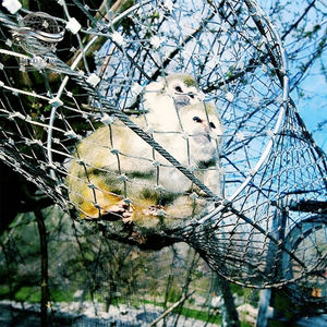 Red de Protección para Zoológico de Acero Inoxidable, Malla de Cable de Alambre de 40x80 Pulgadas - Tamaño de Malla de 3 Pulgadas - Barrera de Seguridad, Red de Cercado para Animales - Product Image 3