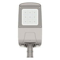 Lampadaires LED SMD 80W AC 100-240V /277V avec diffuseur en verre trempé pour routes extérieures