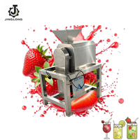 Extracteur de jus industriel durable pour pommes, mangues, ananas, patates douces et citrouilles – Fabricant de jus pour la transformation alimentaire