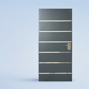 Porte d'entrée Sofia SFS-001, anti-effraction, manuelle, battante, complète, origine Zhejiang - Product Image 1
