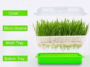 Plateaux de <span class=keywords><strong>semis</strong></span> hydroponiques <span class=keywords><strong>à</strong></span> microvertes, 2 pièces, étagère pour la plantation, différentes tailles - Product Image 4