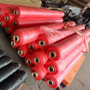 Rouleau de film de paillis rouge en plastique PE Papier de <span class=keywords><strong>paillage</strong></span> Feuilles de couverture de sol pour la culture des <span class=keywords><strong>tomates</strong></span> - Product Image 5