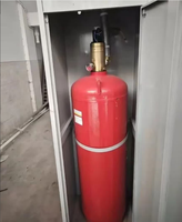 Système d'extinction d'incendie automatique au heptafluoropropane en acier inoxydable à double armoire, modèle GQQ40/2.5-JH, vente en gros usine