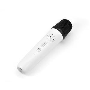 Amplificador DSP para Karaoke de Auto, Procesador de Audio con Ecualizador de 31 Bandas, Sistema de Alta Potencia con Micrófonos Inalámbricos - Product Image 4