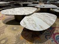 Table basse moderne en marbre naturel de style italien minimaliste, avec structure en métal, finition polie, convertible, personnalisable, meubles de salon