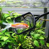 Sensen Petit épuisette de pêche pour poissons rouges, forme ronde et carrée, épuisette manuelle pour attraper les poissons d'aquarium